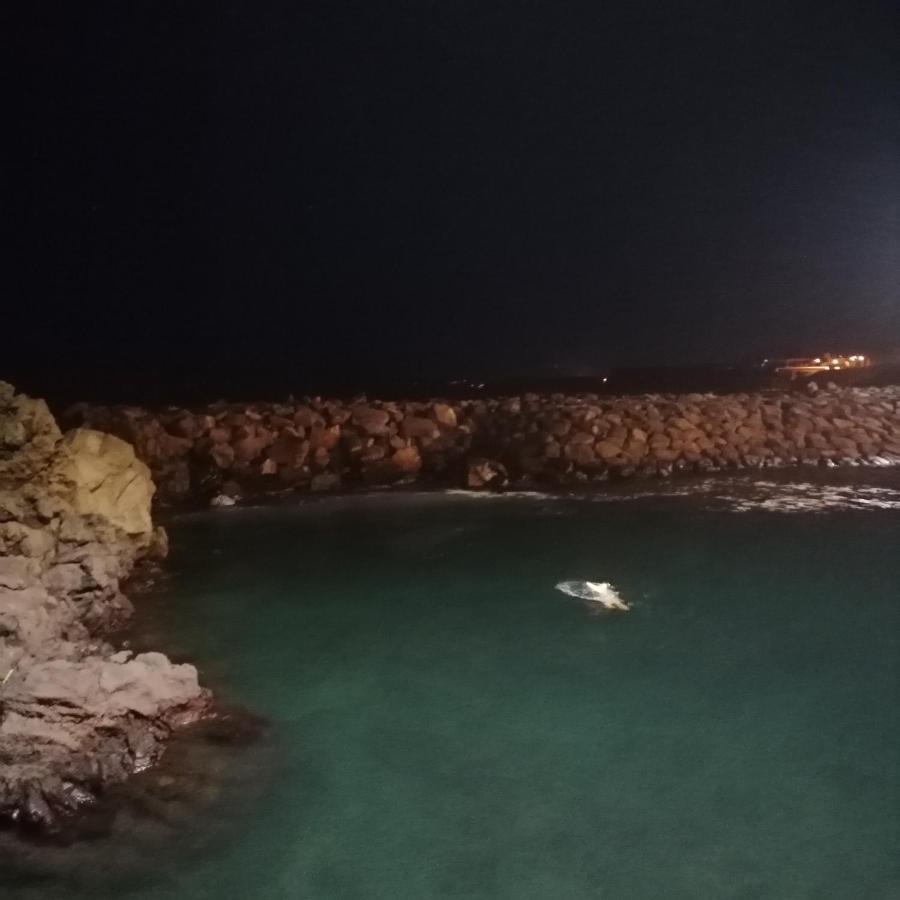 Espaco Roteiro De Mimos São Vicente Ferreira Exterior foto